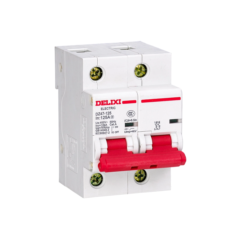 DZ47-125 High-Current Circuit Breaker